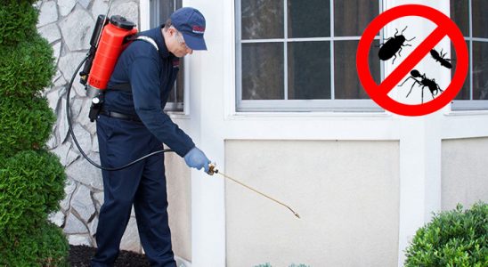 Mut Böcek İlaçlama böcek ilaçlama ve haşere kontrolü — ilaclama-tr.com